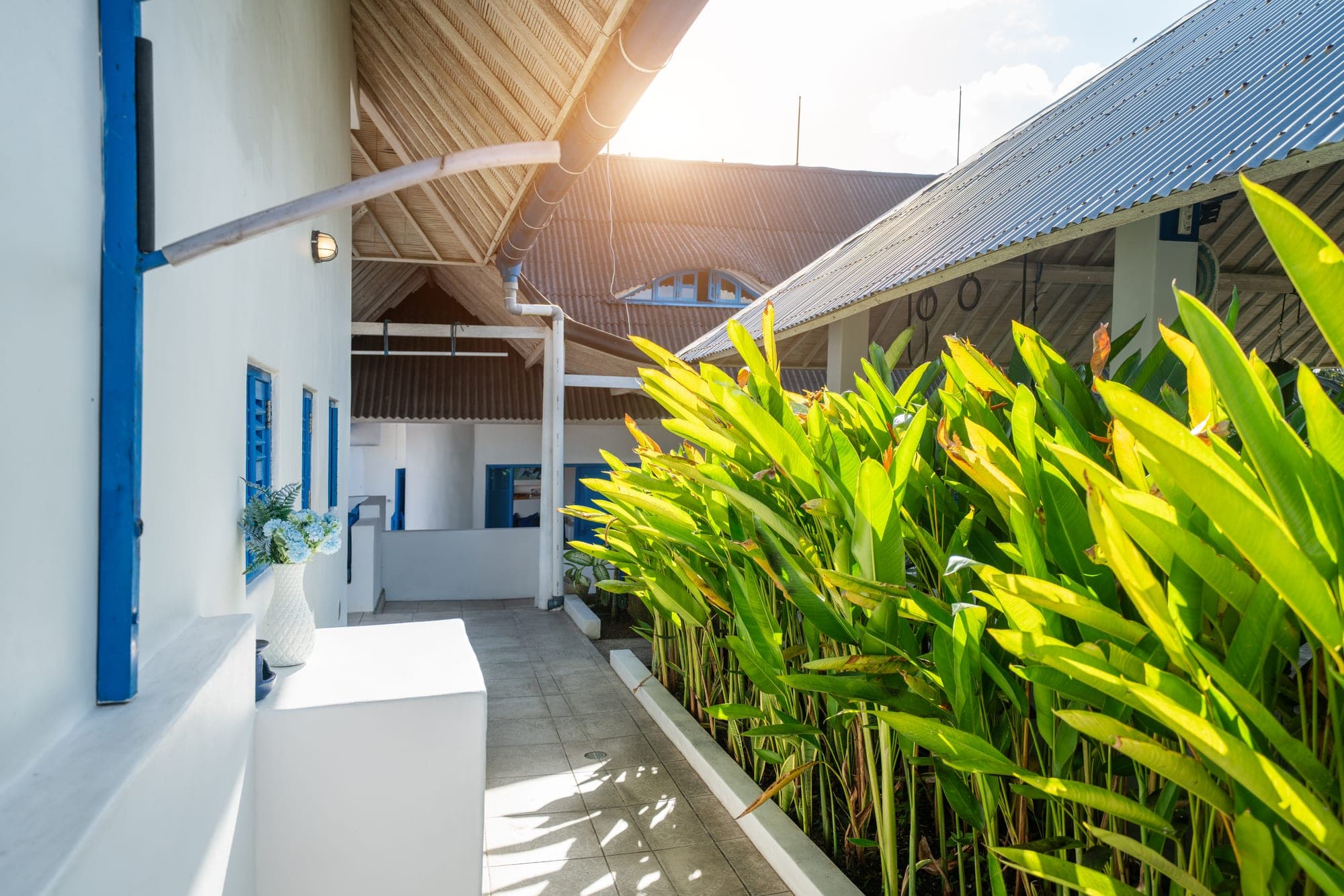 Bali Bio Villas — Around the property